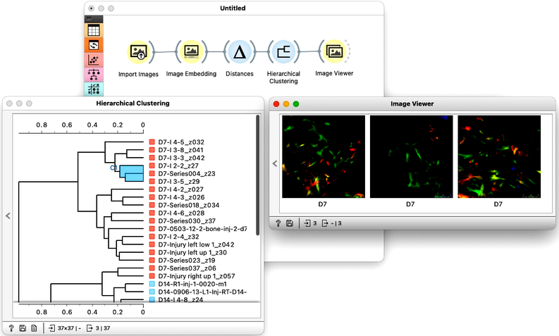 image-analytics